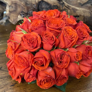 Cake Decorating Workshop