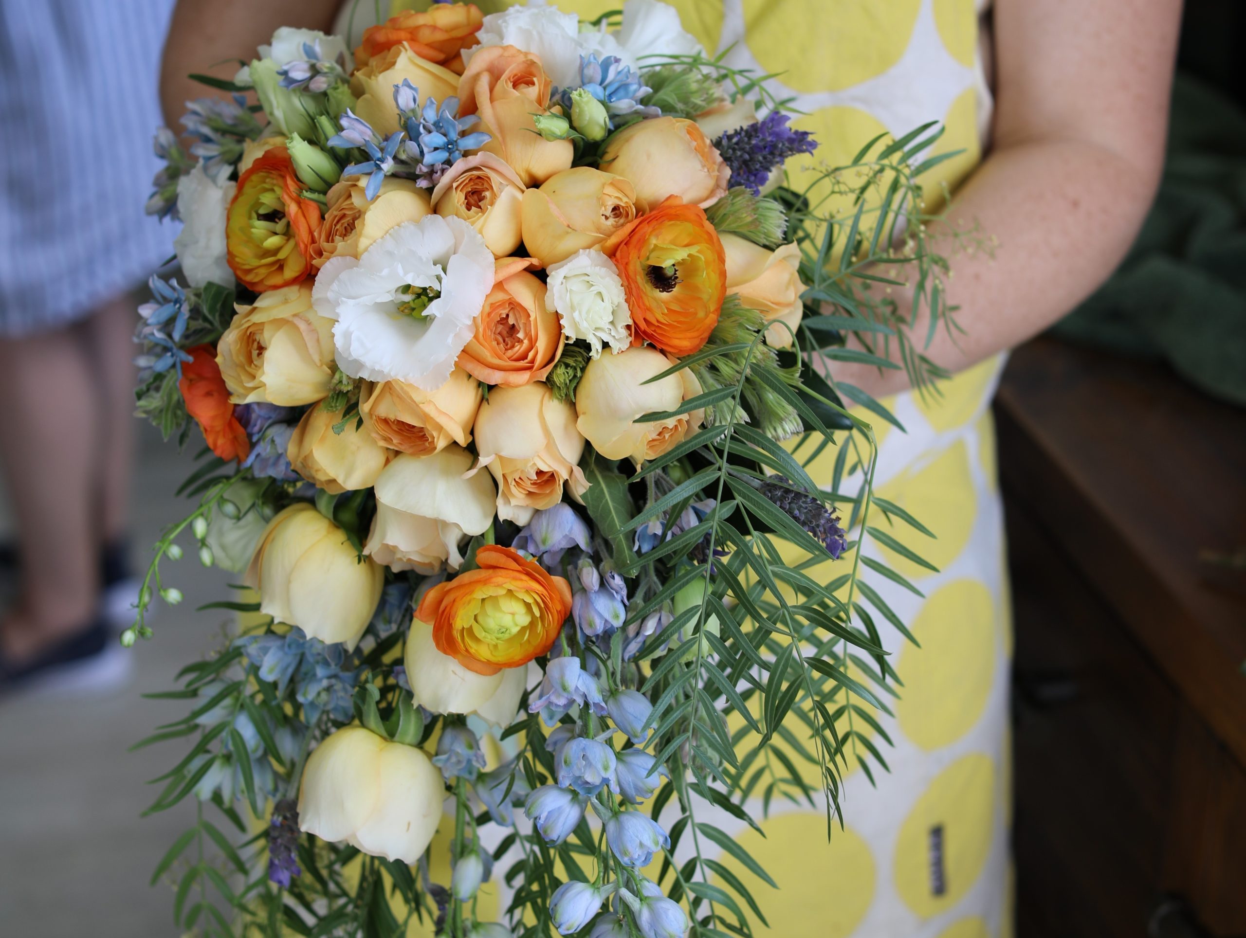 161A4571 8Original 1 scaled 1